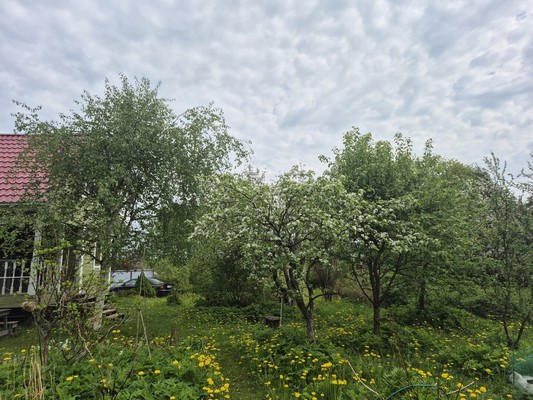 Продам дом, 10-я (Сады института Гипрошахт тер. СНТ) линия, 13, Дунай массив, 0 км от города