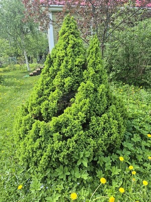 Продам дом, 10-я (Сады института Гипрошахт тер. СНТ) линия, 13, Дунай массив, 0 км от города