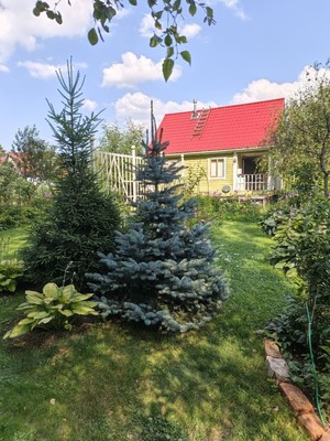 Продам дом, 10-я (Сады института Гипрошахт тер. СНТ) линия, 13, Дунай массив, 0 км от города