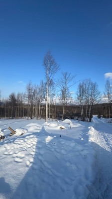Продам участок 8,54 соток, Фермерское хоз., Детство тер. СНТ, 0 км от города