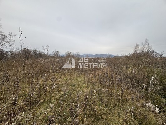 Продам участок 11,76 соток, ИЖС, Кедровая ул, Троицкое с, 0 км от города