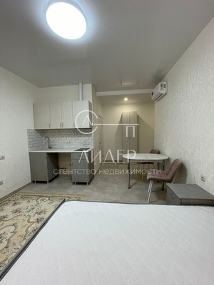 Продам однокомнатную (1-комн.) квартиру, Ленина (Молдовка мкр) ул, 288, Сочи г