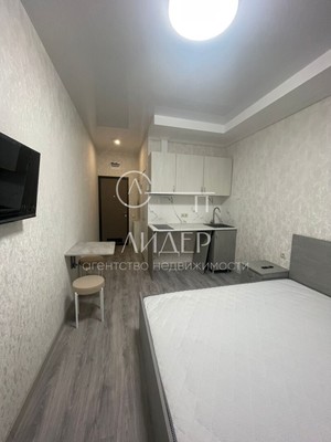 Продам однокомнатную (1-комн.) квартиру, Ленина (Молдовка мкр) ул, 288, Сочи г