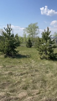 Продам участок 10 соток, Фермерское хоз., Малиновая ул, 76, Воронеж г, 0 км от города