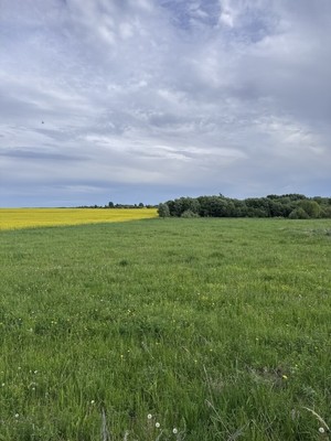 Продам ресторан 365 м2, 21, Горки д