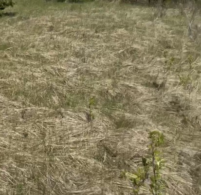 Продам участок 12,3 соток, ИЖС, Гудовка с, 0 км от города