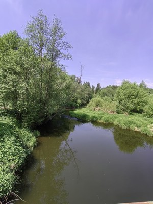 Продам участок 5 соток, Фермерское хоз., СНТ Чегодаево тер, 0 км от города