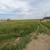 Продам участок 12,3 соток, ИЖС, Изумрудная ул, 2, Равнополье с, 0 км от города