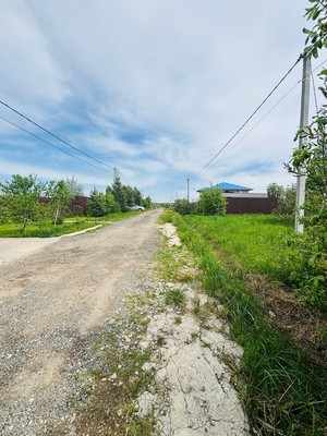 Продам дом, Филипповское СХ2 тер, 381, Филипповское д, 0 км от города