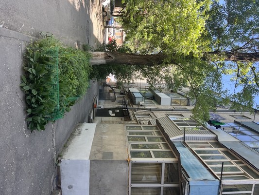 Продам трехкомнатную (3-комн.) квартиру, Ларина ул, 9/1, Ростов-на-Дону г
