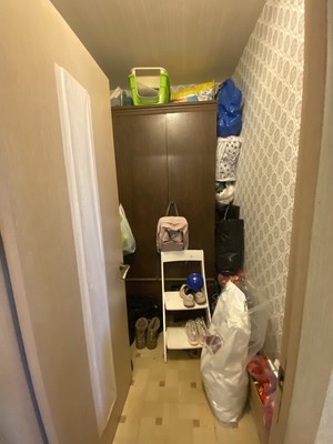 Продам однокомнатную (1-комн.) квартиру, Белая ул, 31А, Андреевка рп