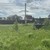 Продам участок 9,2 соток, Садоводство, Макеиха д, 0 км от города
