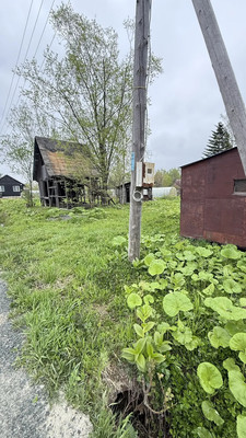 Продам участок 6,52 соток, Фермерское хоз., Дельфин тер. СНТ, Южно-Сахалинск г, 0 км от города