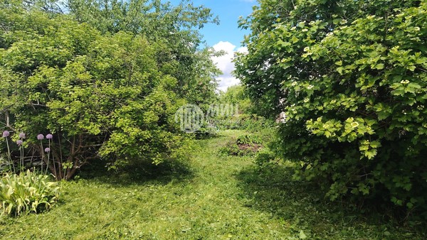 Продам участок 5,75 соток, Фермерское хоз., Молодинский тер. СНТ, 31, Молоди с, 0 км от города