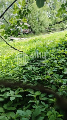 Продам участок 5,75 соток, Фермерское хоз., Молодинский тер. СНТ, 31, Молоди с, 0 км от города