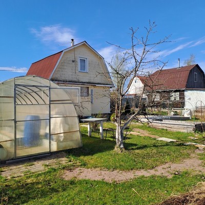 Продам дачу, 59, 200-летие Кировского завода тер. СНТ, 0 км от города