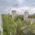 Продам однокомнатную (1-комн.) квартиру, Кустодиева ул, 4, Санкт-Петербург г