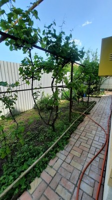 Продам дом, Айвовая (Мечта снт) ул, Лазурный п, 0 км от города