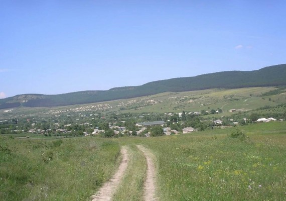 Продам землю для коммерческого использования 4 соток, Фермерское хоз., Лечебное с