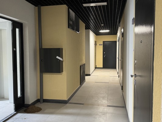 Продам однокомнатную (1-комн.) квартиру, Александровская ул, 3, Петрово-Дальнее с