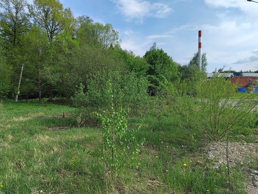 Продам участок 10 соток, ИЖС, Шахово д, 0 км от города
