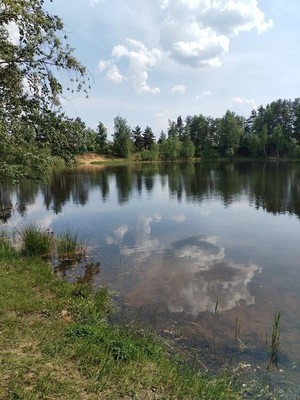 Продам дом, Снежинка ул, 9, Карпово с, 0 км от города
