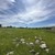 Продам участок 12 соток, Фермерское хоз., Родничок тер. СПК, Ключи с, 0 км от города