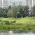 Продам трехкомнатную (3-комн.) квартиру, Брусилова ул, 21, Москва г