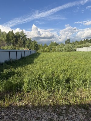 Продам участок 6,52 соток, Садоводство, Шевлягино д, 0 км от города
