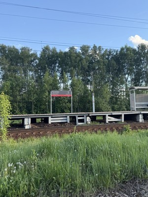 Продам участок 6,52 соток, Садоводство, Шевлягино д, 0 км от города