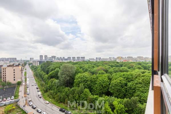 Продам однокомнатную (1-комн.) квартиру, Черниговская ул, 17 1, Санкт-Петербург г