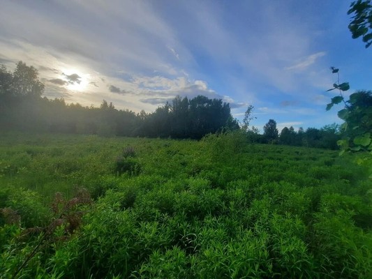 Продам участок 13 соток, ИЖС, Ситниково (Кантауровский с/с) д, 0 км от города