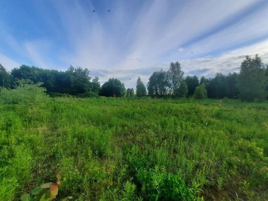 Продам участок 13 соток, ИЖС, Ситниково (Кантауровский с/с) д, 0 км от города