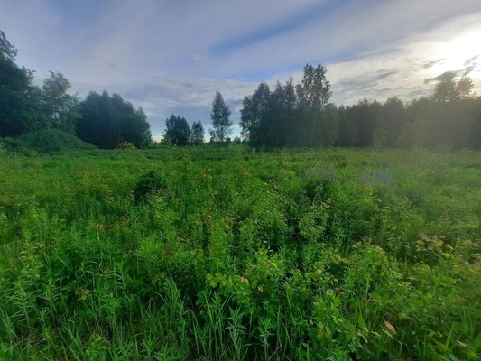 Продам участок 13 соток, ИЖС, Ситниково (Кантауровский с/с) д, 0 км от города