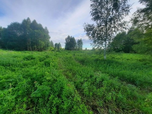 Продам участок 13 соток, ИЖС, Ситниково (Кантауровский с/с) д, 0 км от города