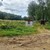 Продам участок 4 соток, Фермерское хоз., 2-й кв-л, Кирилловка д, 0 км от города