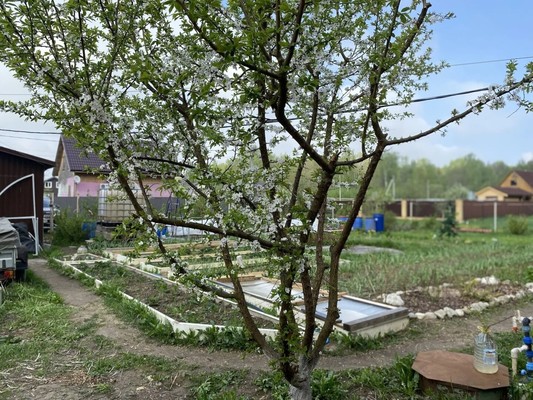 Продам дом, Лесная (Ромашкино-2 тер. ТСН) ул, 2, Горелово д, 0 км от города
