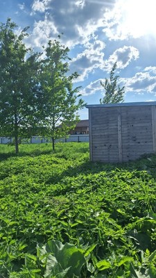 Продам участок 12 соток, Фермерское хоз., Чехов-3 г, 0 км от города
