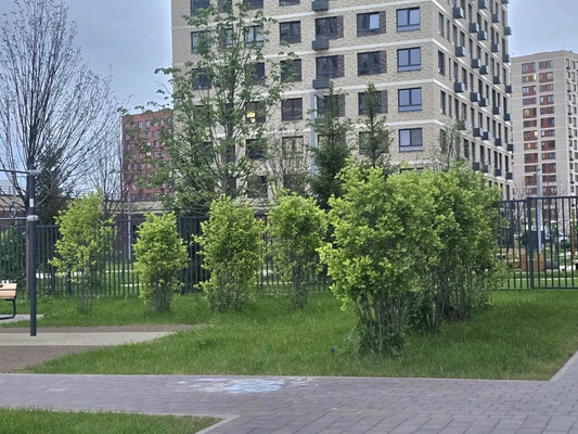 Продам однокомнатную (1-комн.) квартиру, Лесная ул, 2к2, Ерино д
