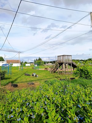 Продам дом, 5-я Ягодная ул, Иваново г, 0 км от города