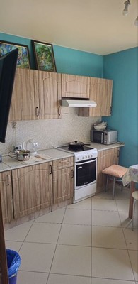 Продам однокомнатную (1-комн.) квартиру, Баулинская (Новые Островцы мкр) ул, 1, Островцы д