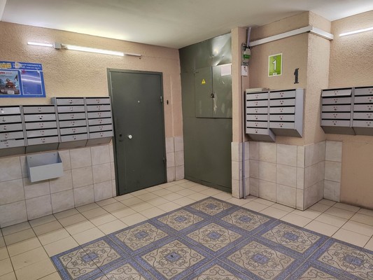 Продам двухкомнатную (2-комн.) квартиру, Новоколомяжский пр-кт, 4к1, Санкт-Петербург г