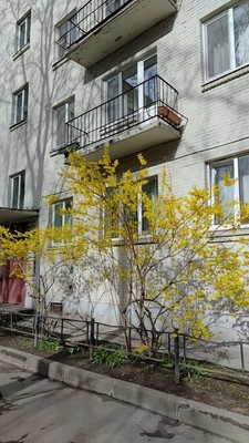 Продам двухкомнатную (2-комн.) квартиру, Савушкина ул, 16, Санкт-Петербург г