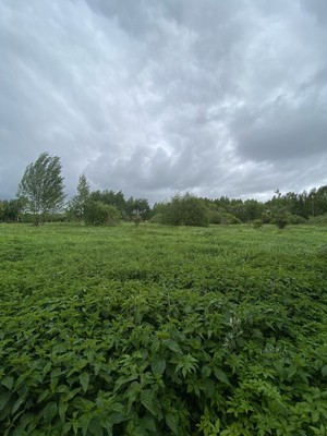 Продам участок 10 соток, Фермерское хоз., Куминово д, 0 км от города