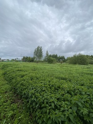 Продам участок 10 соток, Фермерское хоз., Куминово д, 0 км от города