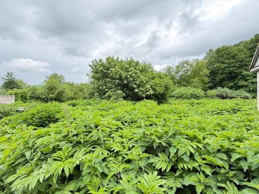 Продам участок 5,1 соток, ИЖС, сдт Сосруко тер, Нальчик г, 0 км от города