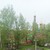 Продам трехкомнатную (3-комн.) квартиру, Лебедева ул, 31А, Йошкар-Ола г