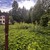 Продам участок 6 соток, Фермерское хоз., СНТ Зеленые дубки-3 тер, Киевский рп, 0 км от города