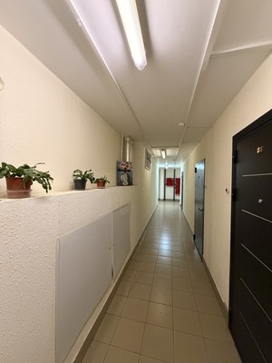 Продам однокомнатную (1-комн.) квартиру, Полевая ул, 9, Металлострой п