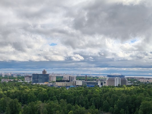 Продам однокомнатную (1-комн.) квартиру, Полевая Сабировская ул, 47к1, Санкт-Петербург г